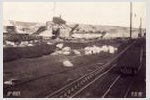 019-abgestellter Bagger Grube Golpa.jpg